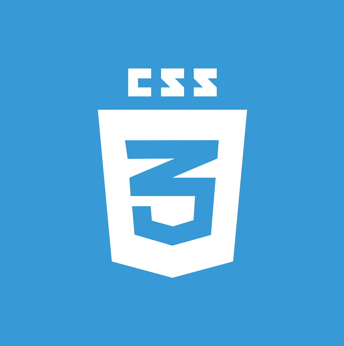 css Logo